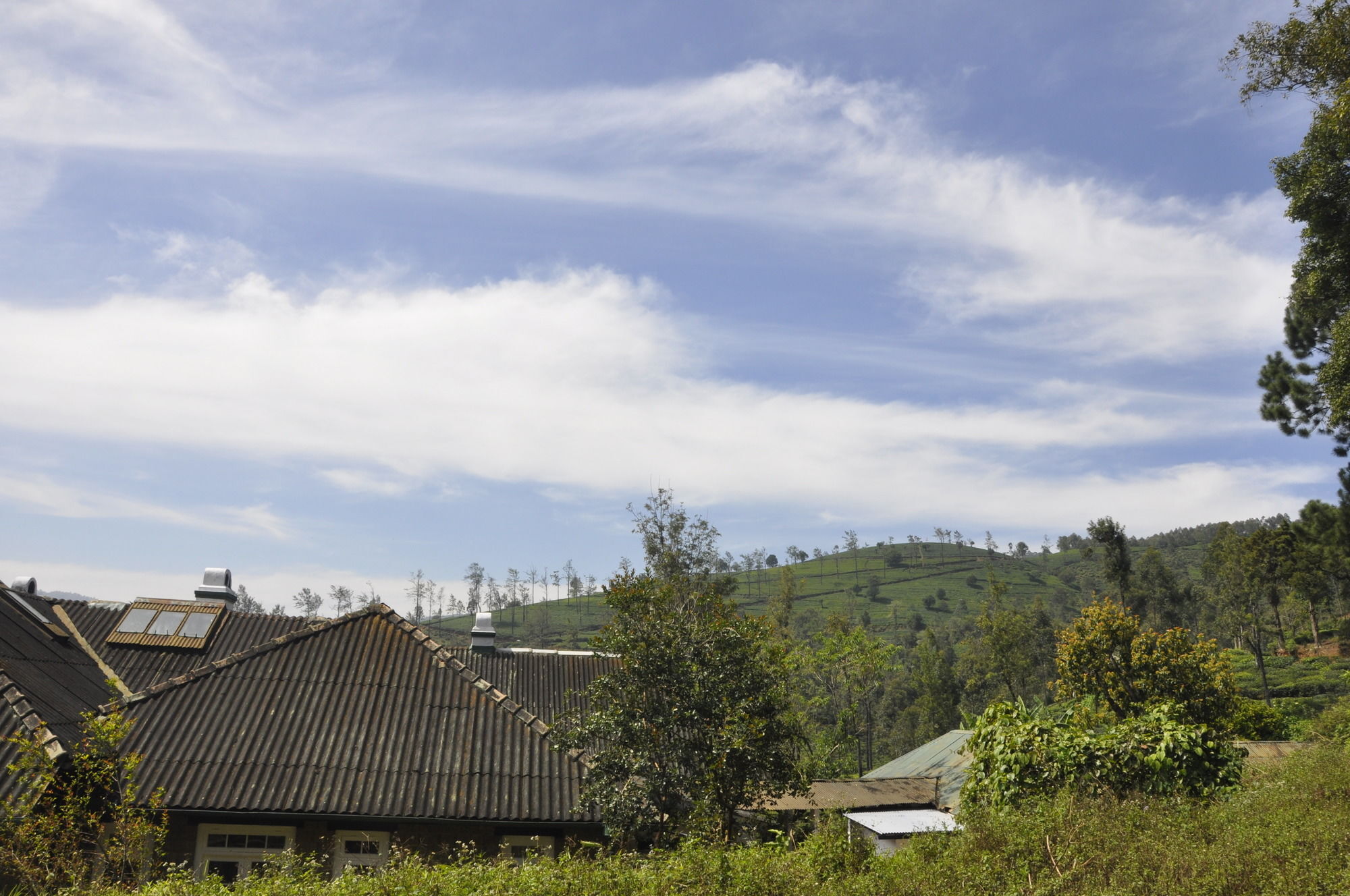 Scottish Planter Bungalow- Thema Collection Nuwara Eliya Ngoại thất bức ảnh